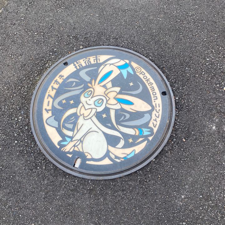 指宿市 指宿図書館のポケふた（ニンフィア）の写真
